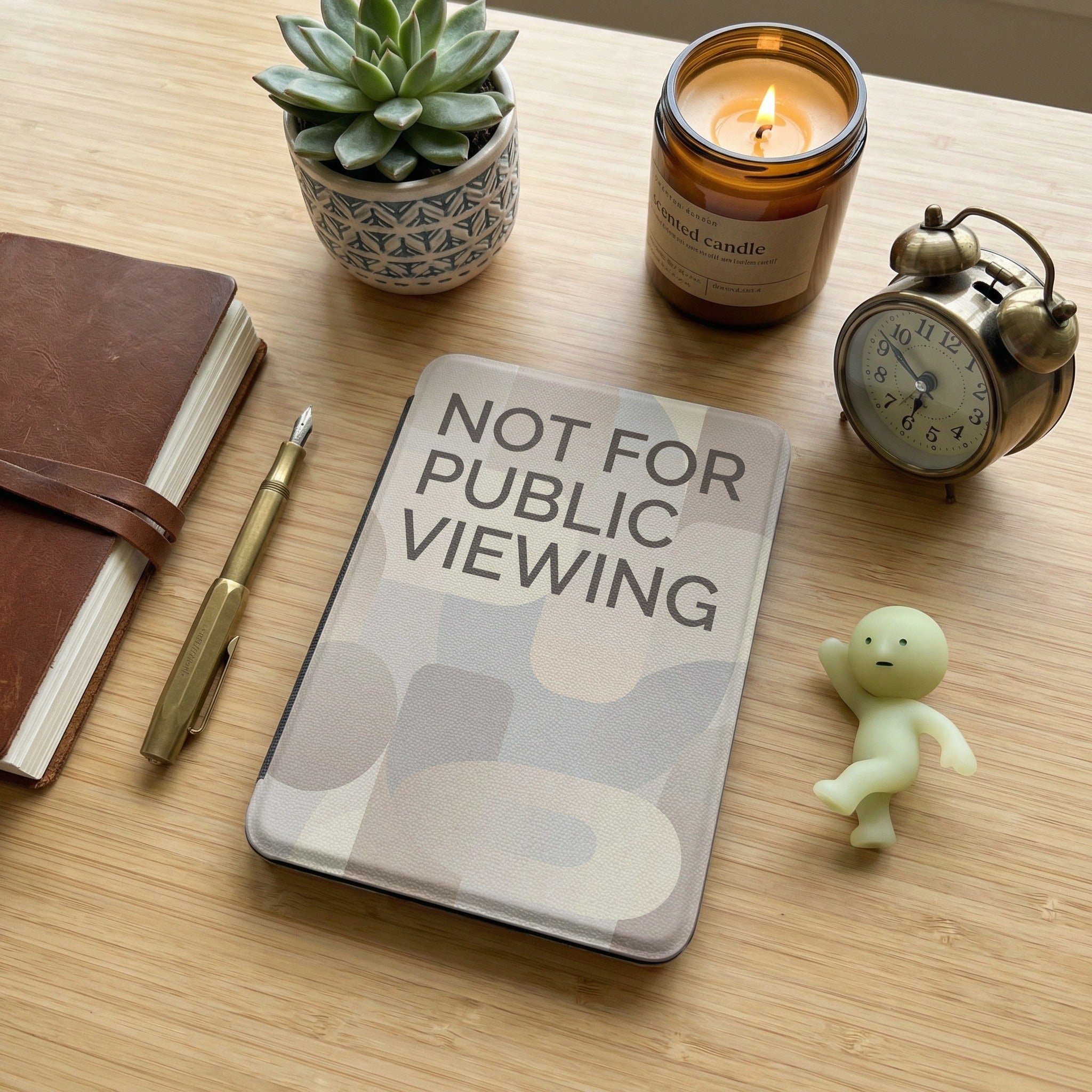 Not for Public Viewing Kindle Paperwhite Case - Privacy Reader Gift
