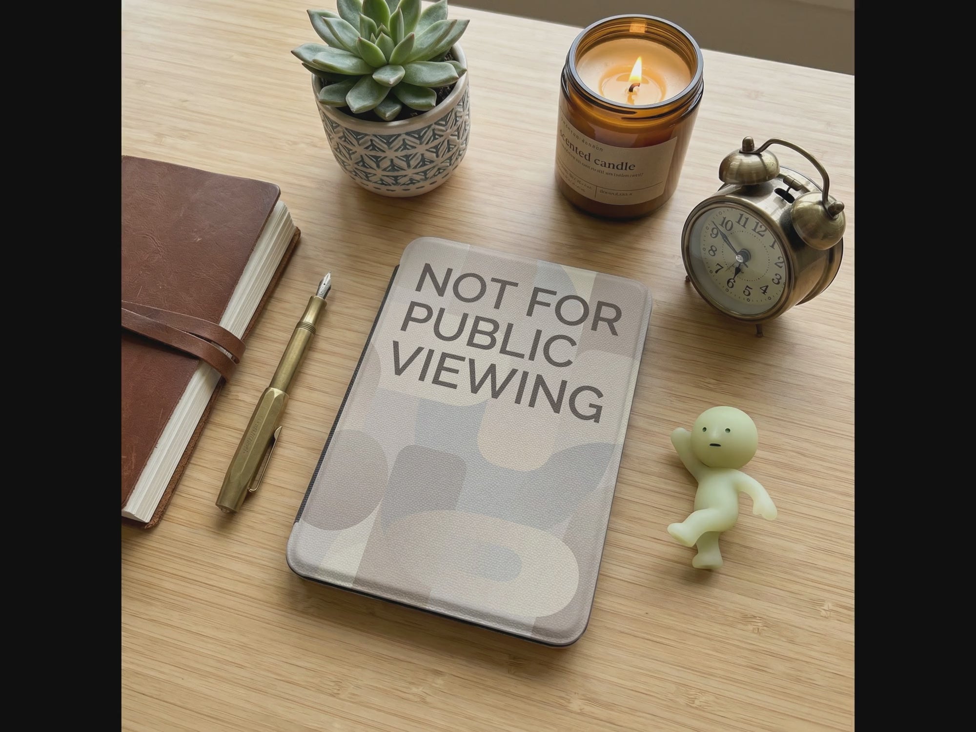 Not for Public Viewing Kindle Paperwhite Case - Privacy Reader Gift